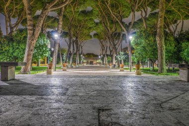 Gece bahçede portakal