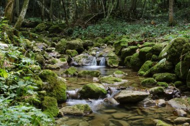 San Leonardo nehirde Rio Patok