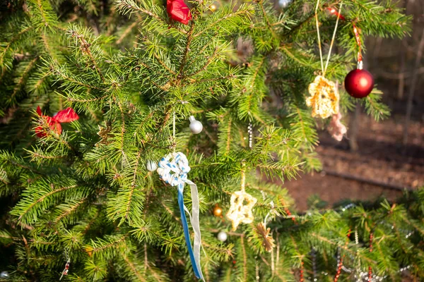 Nahaufnahme eines Weihnachtsbaums, draußen — Stockfoto