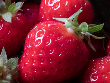 Taze Hasat Edilen Çileklerin Yakın Çekimi