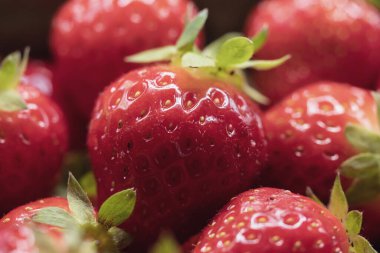 Taze Hasat Edilen Çileklerin Yakın Çekimi