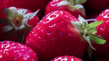 Taze Hasat Edilen Çileklerin Yakın Çekimi, Uzaklaş