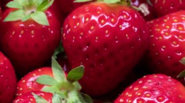 Çileklere yakın çekim, Uzaklaş