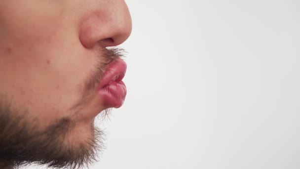 Primer Plano Retrato Hombre Afeminado Barbudo Adulto Con Bigote Marrón — Vídeo de stock