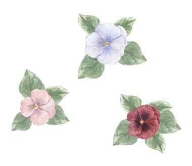 çiçekler, sulu boya, resim, çizim