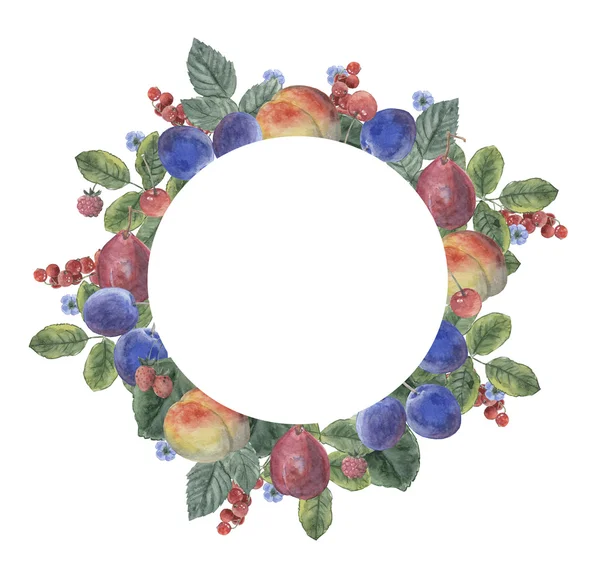 Фрукти, ягоди та квіти, композиція, акварель Стокове Фото