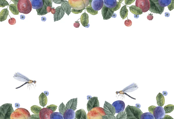 meyve, kompozisyon, suluboya, çizim