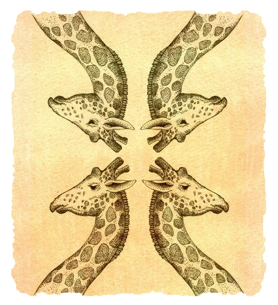 Giraffa, disegno, fauna. illustrazione — Foto Stock