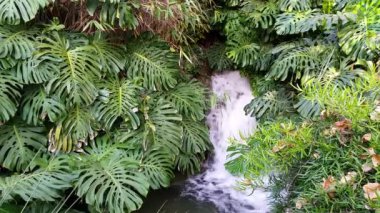 Kent parkta küçük şelale.