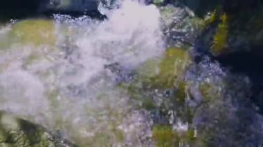 Yaz ya da sonbahar zamanlarında dağ nehri. Vahşi doğa, berrak su ve her zaman yeşil olan kırsal vadi. Güneş ışınları, küçük dere ve sarı otlar. Doğa videosu. 