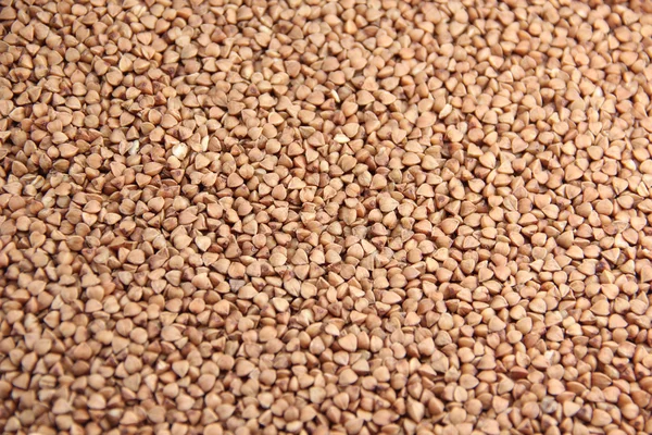 Buckwheat closeup flat — Stock Photo, Image