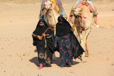 HURGHADA, EGYPT - Apr 24 2015: The old and young women-cameleers from Bedouin village in Sahara desert with their camels, Egypt, HURGHADA on Apr 24, 2015 clipart