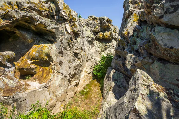 stock image Large stones with a bumpy surface covered with spots of multi-colored lichens