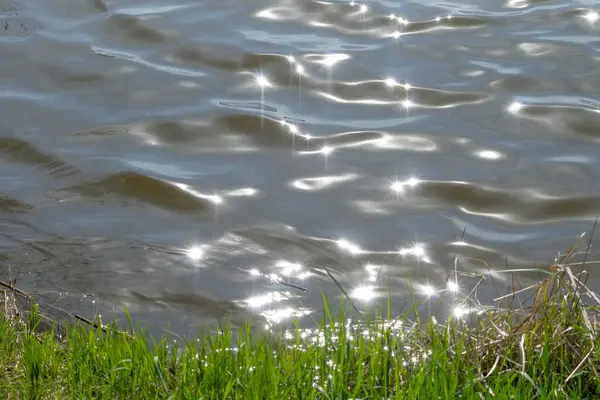 Sun Glare Soft Waves Sedge Covered Riverbank — Stock Photo, Image
