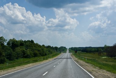 Asfalt yolu alçak bir ormandan geçiyor. 