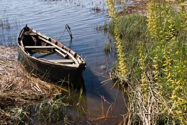 Kıyıya yakın eski ahşap balıkçı teknesi  