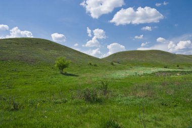 Mavi gökyüzünün altında bulutlu yeşil çimenli tepeler