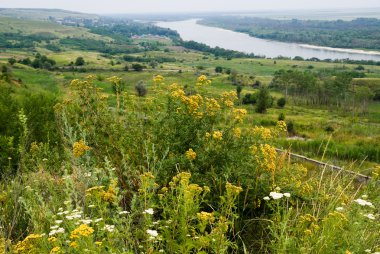 Steppe Don Nehri 'nin arka planına yasaklar