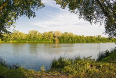 Bir orman gölünün kıyıları