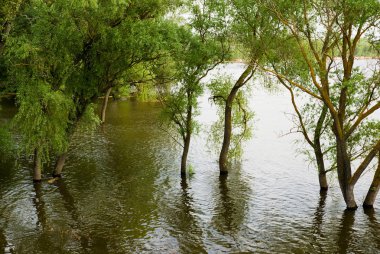 Don nehrinde bahar seli