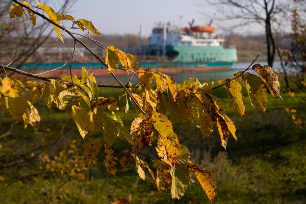Elm Branches Withered Autumn Foliage Background Tanker Sailing River — Stock Photo, Image