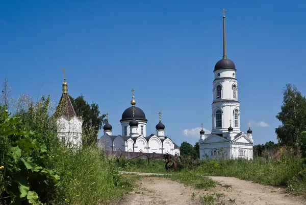 Vista Del Monasterio Femenino Transfiguración Tikhon Zadonsk — Foto de Stock