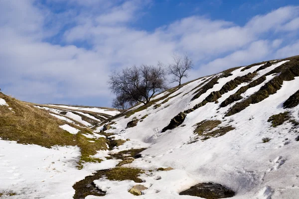 Lente Hellingen Van Een Ravijn Met Strepen Van Smeltende Sneeuw — Stockfoto