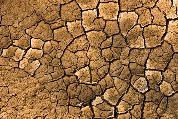 Brown Cracked Clay Background — Stock Photo, Image