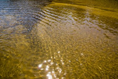 Nehrin yüzeysel alt desenleri