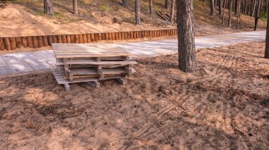 Yıpranmış ahşap paletler bir çam ormanında yeni döşenmiş kaldırımın yanında kumlu zeminde duruyor..
