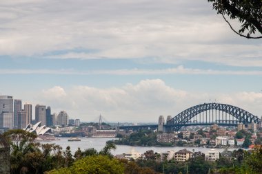 Sidney manzarası