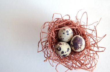 yumurta. Bıldırcın yumurta. Benekli yumurta. küçük yumurta. Beyaz arka plan. stok fotoğraf. Üstten Görünüm