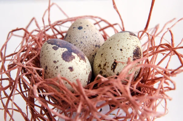 yumurta. Bıldırcın yumurta. Benekli yumurta. küçük yumurta. Beyaz arka plan. stok fotoğraf. Üstten Görünüm