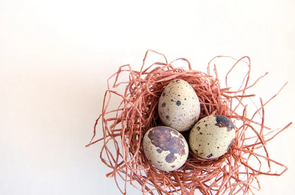 yumurta. Bıldırcın yumurta. Benekli yumurta. küçük yumurta. Beyaz arka plan. stok fotoğraf. Üstten Görünüm