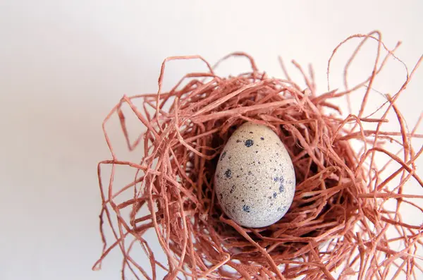 yumurta. Bıldırcın yumurta. Benekli yumurta. küçük yumurta. Beyaz arka plan. stok fotoğraf. Üstten Görünüm