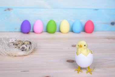 Paskalya yumurta tavuk yumurta ve yuva ahşap zemin üzerine.