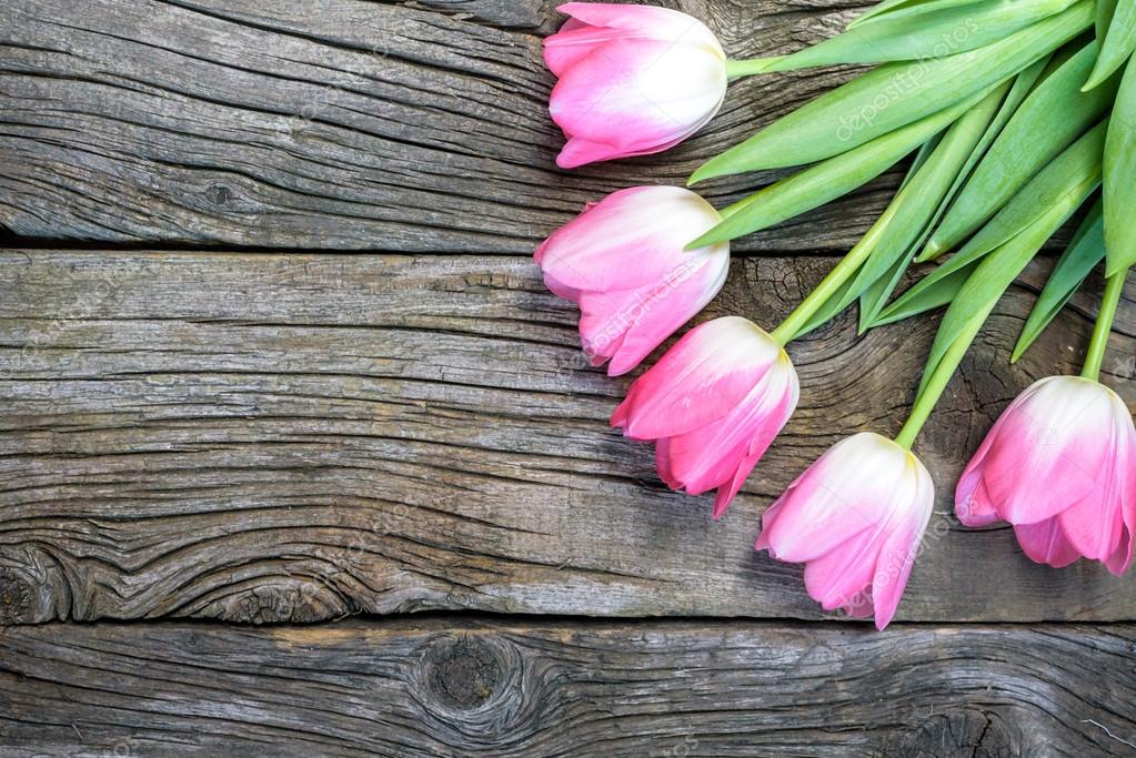 Tulips On Gray Wood Table Fresh Pink Tulip Flowers On Wooden Table Top View With