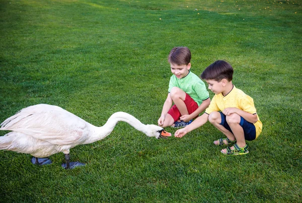 Cuidado Seguridad Del Concepto Animales Dos Niños Alimentándose Jugando Con — Foto de Stock