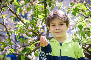 Baharda çiçek açan elma ağaçlarının yanındaki bahçede..