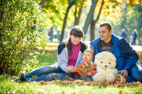 가족이 소풍을 즐기고 아버지 와아들은 바구니 장난감 읽는다 가족여가 — 스톡 사진