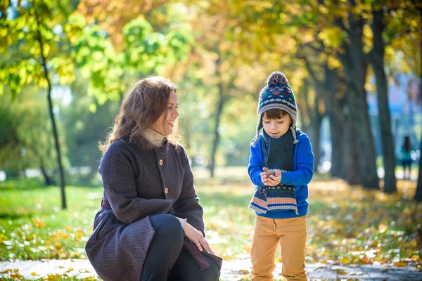 Mãe Bebê Brincam Parque Outono Pais Crianças Caminham Floresta Dia — Fotografia de Stock