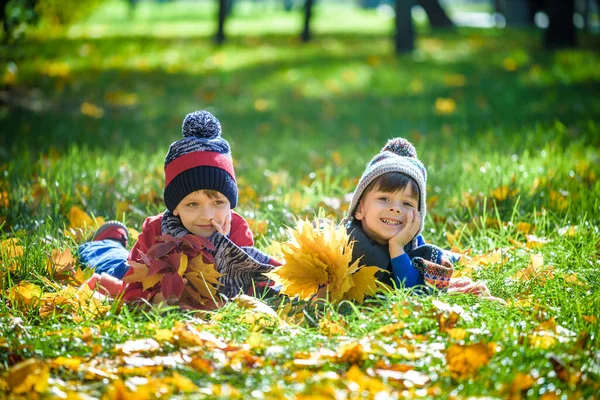 Two Beautiful Boy Brothers Little Child Laying Lot Yellow Autumn — Stock Photo, Image