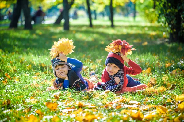 Two Beautiful Boy Brothers Little Child Laying Lot Yellow Autumn — Stock Photo, Image