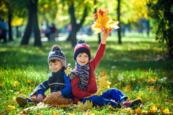 날씨에 아름다운 공원에서 아이들 아이들은 황금빛 단풍나무 가지고 아이들 방식의 — 스톡 사진