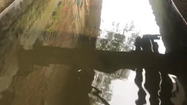 Dalgalı balık havuzu