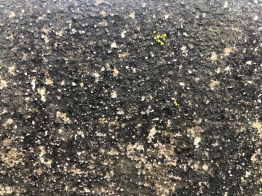 Endüstriyel arkaplan için sert ve yosunlu beton zemin dokusu