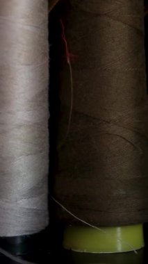 Cinematic video of silkworms hatching, feeding on mulberry leaves, spinning cocoons, and silk threads being reeled and woven into traditional Vietnamese textiles.