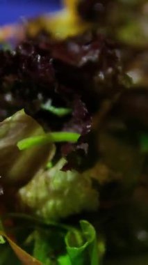 Pirinçli salata ve mavi tabakta turplu yeşil sos. Vejetaryen yemeği. Vejetaryen restoranı. Yüksek kalite 