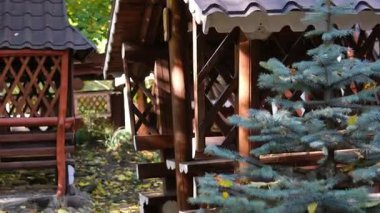 Serene Green Environments ile çevrili rahat bir verandası olan büyüleyici ahşap kulübe. Yüksek kalite 4k görüntü