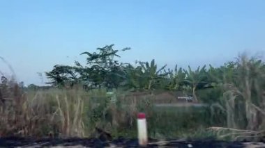 Phu Quoc adasından Ho Chi Minh şehrine yeşil pirinç tarlaları, palmiye ağaçları, küçük köyler ve geleneksel evler ile Vietnam manzaralı kırsal kesimlerinden geçerek.